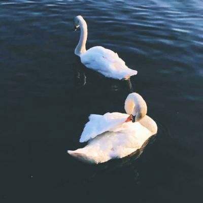 美团大涨超14% 泡泡玛特暴跌超22%