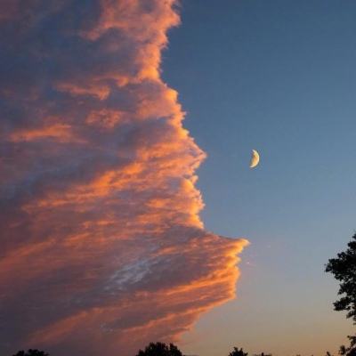 踏浪擎旗，立序新章 | 数字化、...